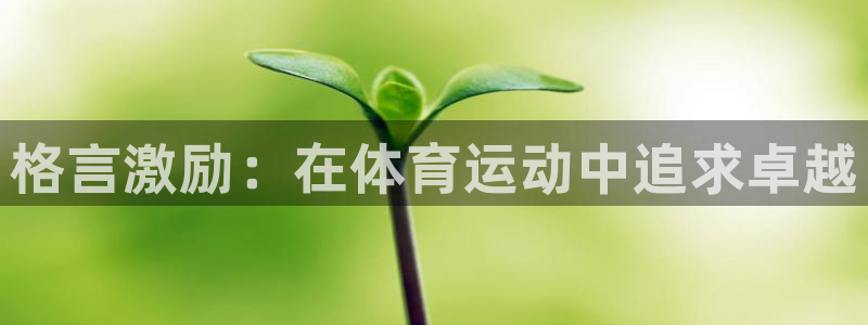 vsport体育官方正版app集团官网首页:格言激励:在体育