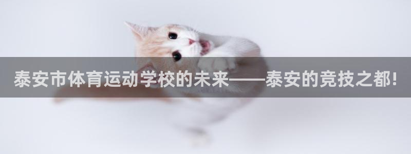 vsport体育官网下载招商电话号码是多少啊:泰安市体育运动