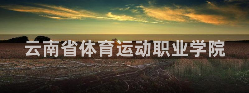 vsport体育官方正版app集团E.ON:云南省体育运动职